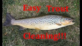 BEST way to clean Trout Fast and easy  This is the best method I have found so far [upl. by Petigny]