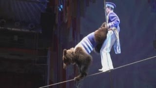 Tightropewalking bears at Russian circus [upl. by Solorac]