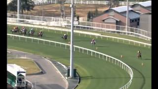 BMW Hong Kong Derby 2013 Six BMW Derby entries perform barrier trial on 5 March [upl. by Kcerred]