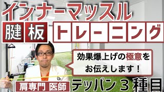 肩インナーマッスル腱板筋の鍛え方 3種基礎トレと1つの極意【棘上筋・棘下筋・肩甲下筋のチューブトレーニング】 [upl. by Morentz759]