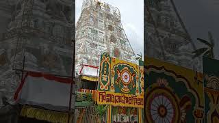 kallai mattum kandal songthirupathi thirupathivlogperumaltemple brahmotsavam 2024 [upl. by Gianna27]