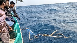 Back to Back Eel Fish Caught in the Deep Sea [upl. by Brook]