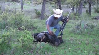 Calling Hogs Hog Hunting With Glenn Guess Hog Sounds [upl. by Donall]