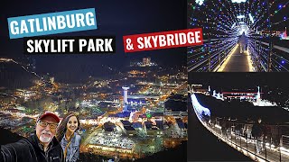 Gatlinburg Skylift Park and Skybridge at night Christmas in the Great Smoky Mountains [upl. by Aiekal]