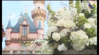 Morning Castle Wedding  Disneyland [upl. by Enelegna]