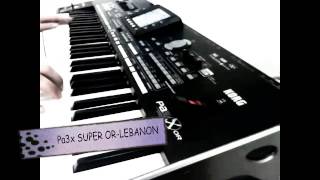 KORG PA3X SUPER OR  Live Oriental Styles Demo [upl. by Gnoud69]