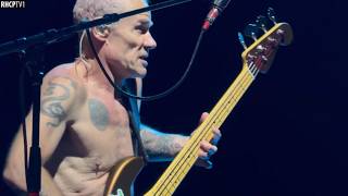 Flea  Amazing Bass Solo 2024 [upl. by Schwing493]