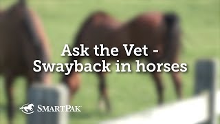 Ask the Vet  Swayback in horses [upl. by Nnairol468]