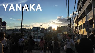 Sunset Vibes in Yanaka Strolling Through Tokyo’s Old Town  Tokyo Japan  ASMR 4K [upl. by Nnylasor]