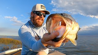 Florida Bass Fishing Raw And Uncut Big Bass On Swim Jigs And Chatterbaits [upl. by Htebsle]