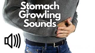 Stomach Growling Sound Effects  No Copyright [upl. by Ahsinnor375]