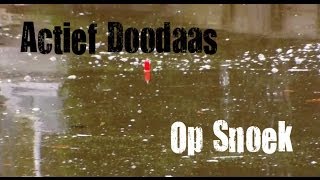 HLpredatorTEAM  Actief Doodaas Vissen Op Snoek [upl. by Ayotl]