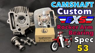 Cam custom EX5 Bearing spec 53 [upl. by Polinski69]