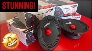 WOW DS18 ProGm 65” door speaker review midbass midrange [upl. by Aluk967]