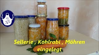 Sellerie  Kohlrabi  Möhren einlegen [upl. by Ahsieuqal]