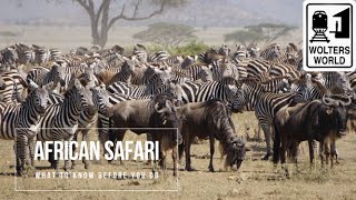 Safari Travel What to Know Before You Go on an African Safari [upl. by Legim]