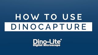 How to use DinoCapture 20 for DinoLite on Windows [upl. by Lladnar]