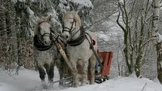 Stefan Hrusca  Colaj colinde  Christmas Music  Cantece de craciun [upl. by Thorstein]