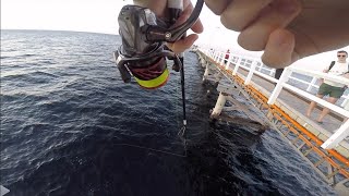 Fishing Busselton Jetty  Meelup Beach WA [upl. by Pirbhai717]