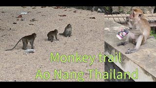 Monkey trail In Ao Nang Krabi Thailand [upl. by Everest]