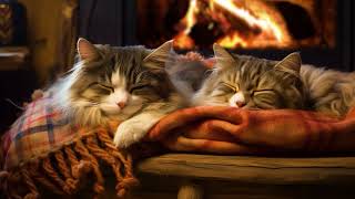 Cozy Purring Cats ASMR  Peaceful Evening Fireplace and Gentle Purr [upl. by Ydnim]