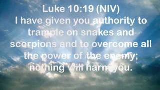 Luke 1019mp4 [upl. by Sollars698]