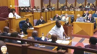 Willie Madisha Entertains Parliament Again [upl. by Akialam]