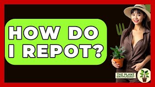 How Do I Repot  The Plant Enthusiast [upl. by Medina]