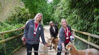 Volunteering at Durrell [upl. by Arykat]