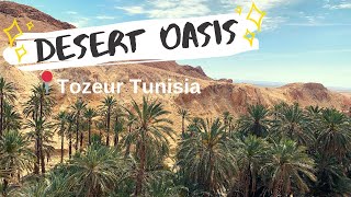 TOZEUR TUNISIA  TOUR OF THE DESERT OASIS توزر‎ travel vlog 2019 [upl. by Rempe]