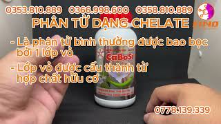 Phần 2 Giải thích Chelates phân tử trong CaBoSi  Canxi Bo Silic [upl. by Zigmund]