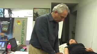 Japanese Acupuncture Meridian Balancing Demo  Online Acupuncture CEU [upl. by Asilehc]