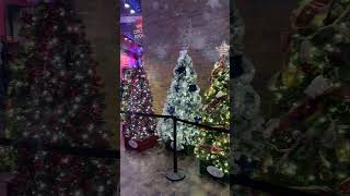 Opry Country Christmas Will Blow You Away [upl. by Nomed48]