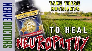 Take These Nutrients To Heal Neuropathy And HOW MUCH  The Nerve Doctors [upl. by Faria]