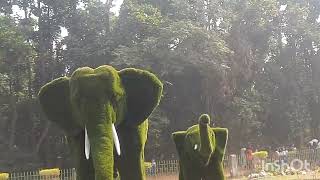 Ormanjhi zoo Ranchi [upl. by Arihk]