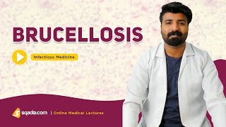 Brucellosis  Infectious Medicine Lectures  Medical Education  VLearning  sqadiacom [upl. by Aderf]