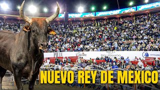 TORO CAMPEÓN DE R SAN MIGUEL GANO 100 MIL PESOS Torneo Nacional de Toros El Rey de Mexico 2024 [upl. by Nywloc]