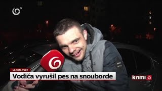 Vodiča vyrušil pes na snouborde NOVINY TV JOJ [upl. by Slifka]