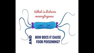 What is Listeria Monocytogenes [upl. by Osrit960]