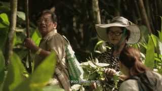 PETRONAS Kaamatan 2013 Episode 2 Traditional Food [upl. by Shena510]