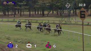 RED HILLS wins The Vijayawada Plate [upl. by Gelya63]