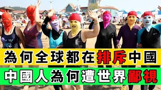 為何越來越多的國家開始排斥中國？因為中國人“太聰明了”！｜Reaction Video [upl. by Eledoya]