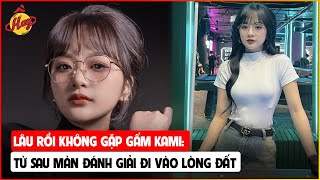 Lâu rồi không gặp Gấm Kami Từ sau màn đánh giải đi vào lòng đất [upl. by Eimmas]