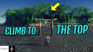 How to CLIMB Nakajima Shrine  Ghost of Tsushima Iki Island DLC [upl. by Eirot45]