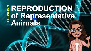 Earth and Life Science Quarter 2 ANIMAL REPRODUCTION [upl. by Paxton]