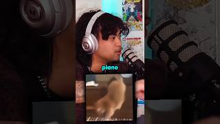 Cat piano meme Mandela effect 😱 jumpersjump podcast scary mystery [upl. by Rebor]