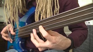 Fretless Funk Rock Bass Grooves [upl. by Ailido]