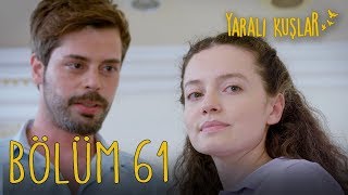 Yaralı Kuşlar 61 Bölüm [upl. by Heins]