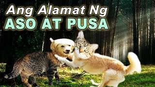 ANG ALAMAT NG ASO AT PUSA [upl. by Nahbois]