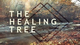 The Healing Tree  Jentezen Franklin [upl. by Uchida]